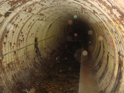 dsc06009