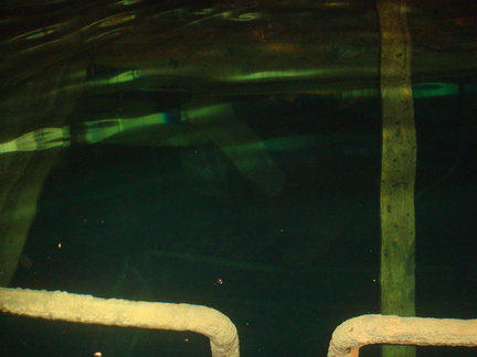 dsc06196