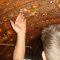 dsc06205