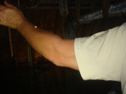 dsc06211