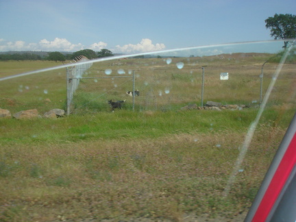 DSC05790 1100x825-1