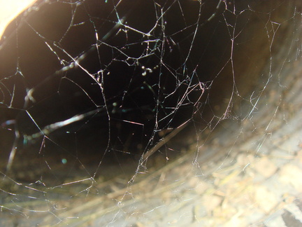 DSC05754 1100x825-1